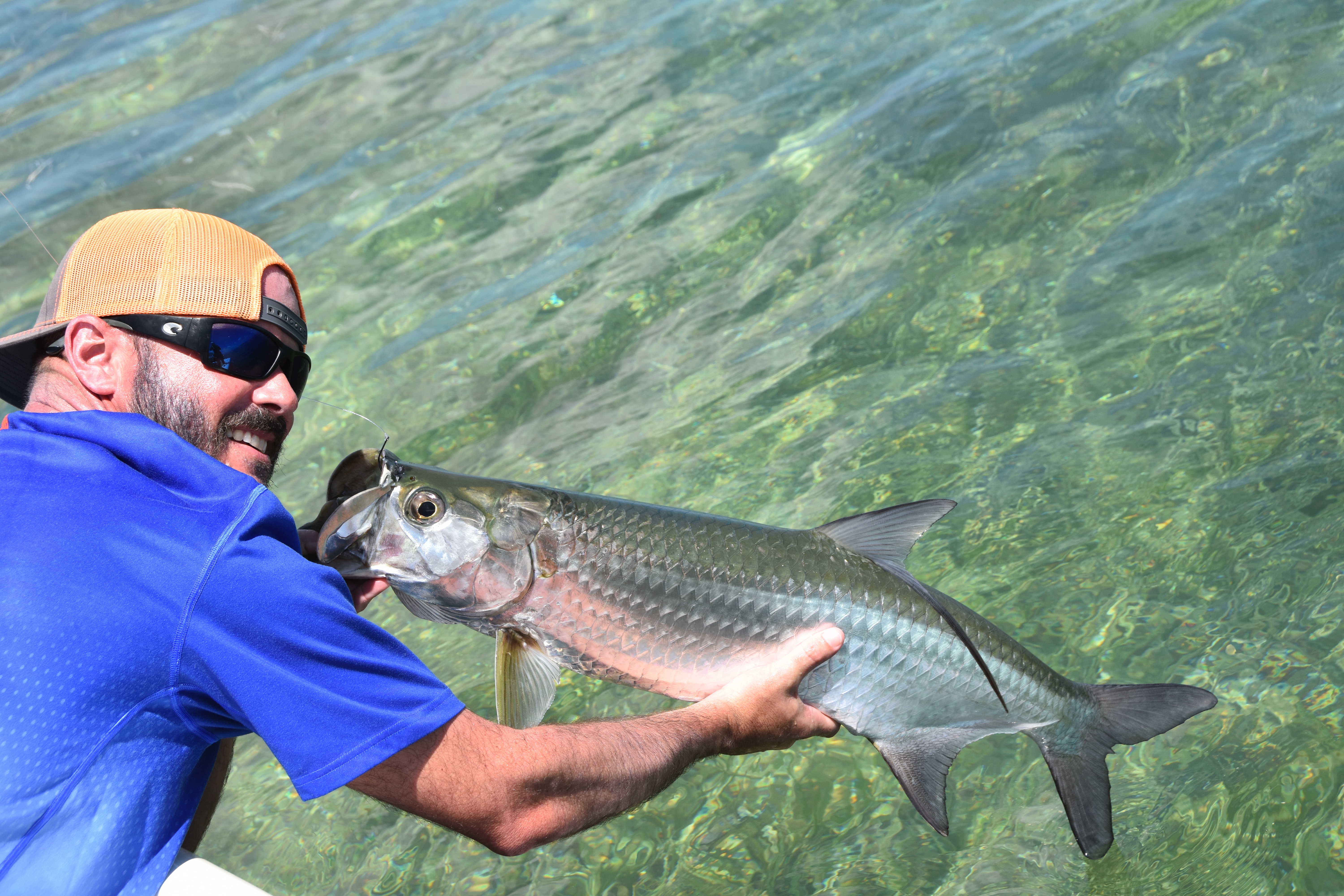 an angler poses with a juvinile tarpon over the crystal clear waters of the lower keys backcountry