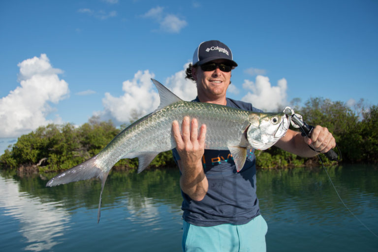 an angler is holding a juvenile tarpon in front of a scenic mangrove shoreline.