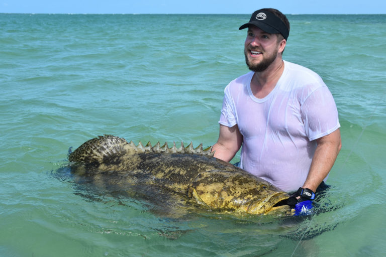 an angler holds a big Goliath grouper in the water and prepares if for release into the backcountry of the Florida Key