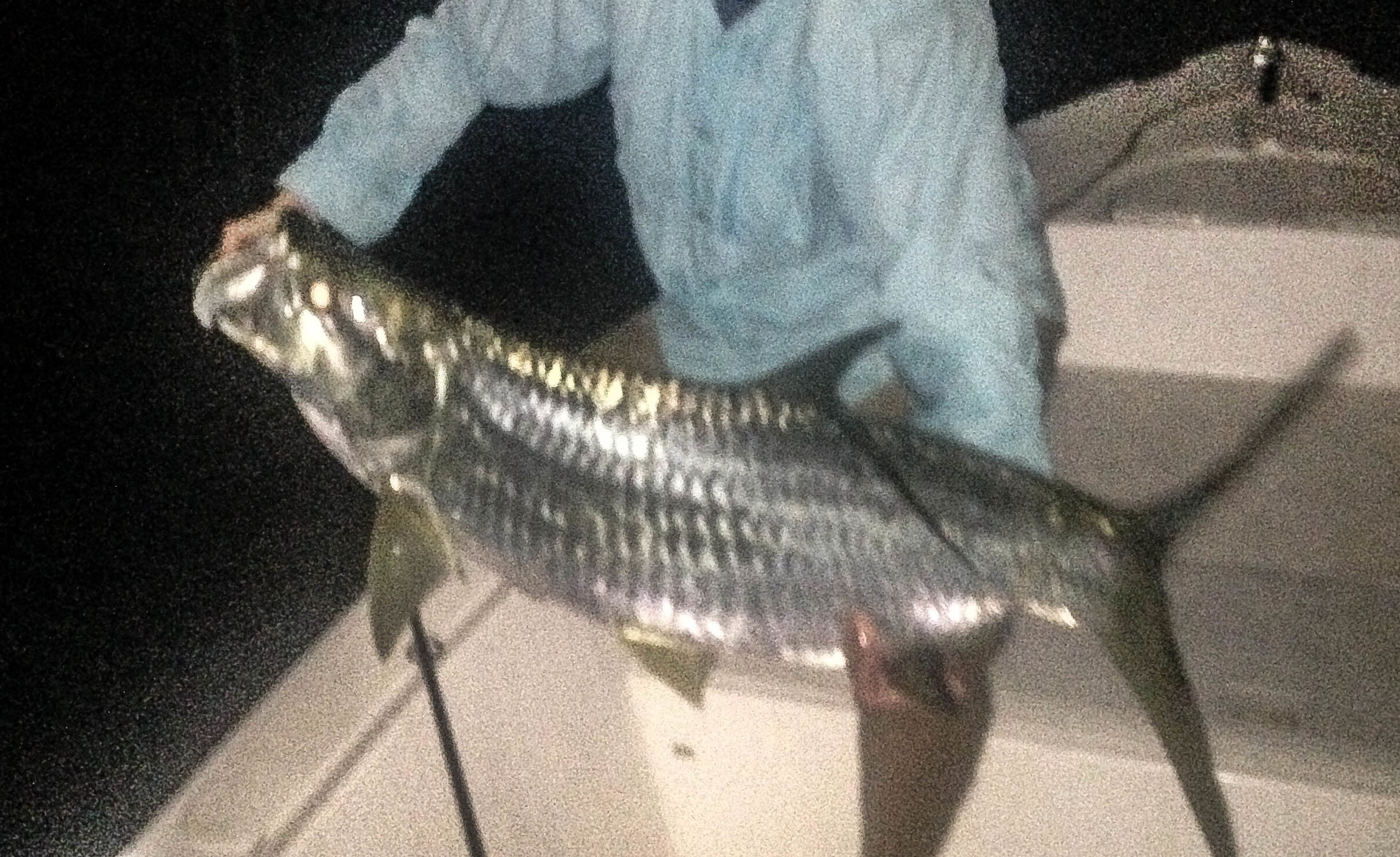 Capt nick labadie is holding a nice tarpon he caught while fishing Bahia Honda bridge at night