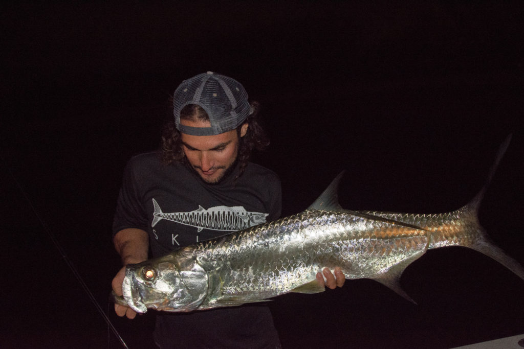 How to Fly Fish at Night, Dock Light Fishing