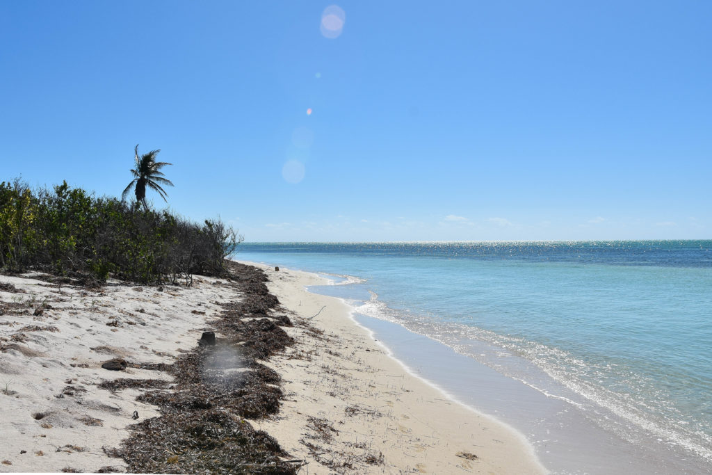 A bright sunny day shows the crystal clear Florida keys water meeting the sandy shores of a secluded island off of the Florida keys