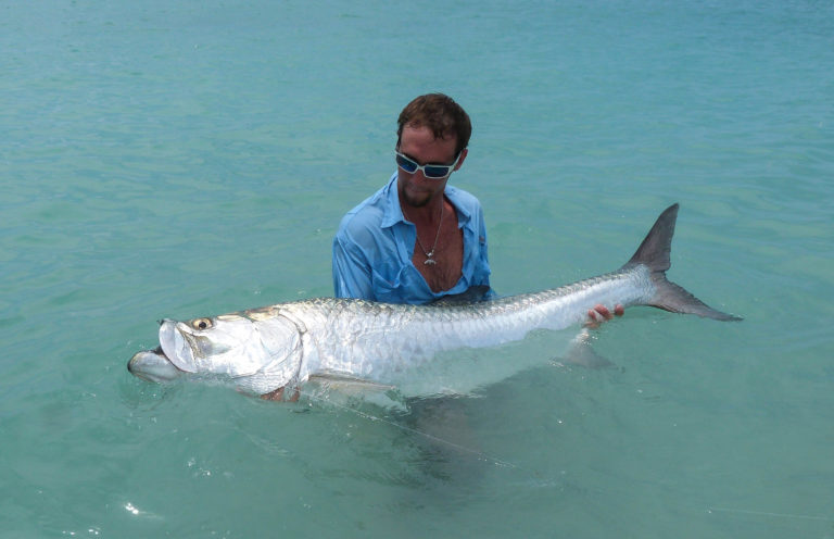 Captian Nick Labadie is in the water holding a monster tarpon with both hands.