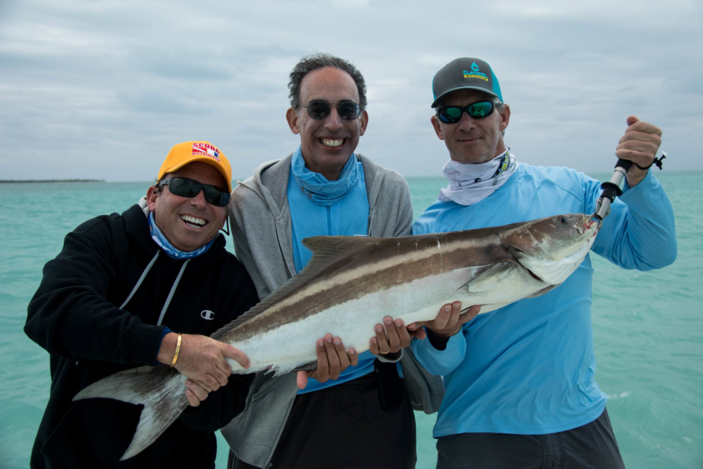 A couple anglers try and hold up a nice 40lb cobia caught while fishing in the backcountry off of Key West