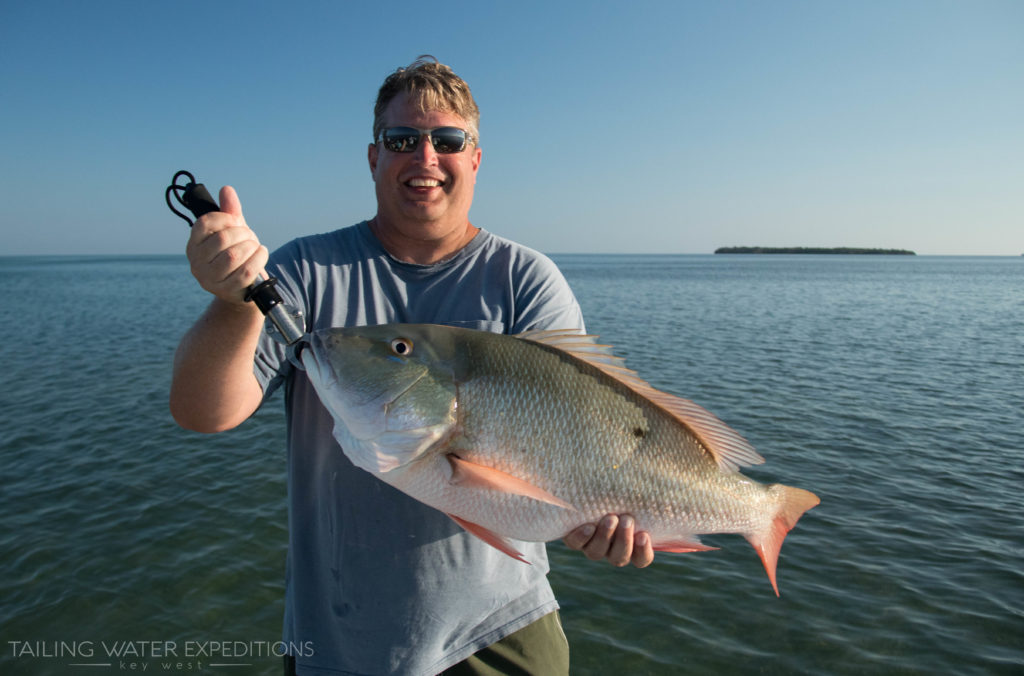 Mangrove Snapper Fishing In the Florida Keys