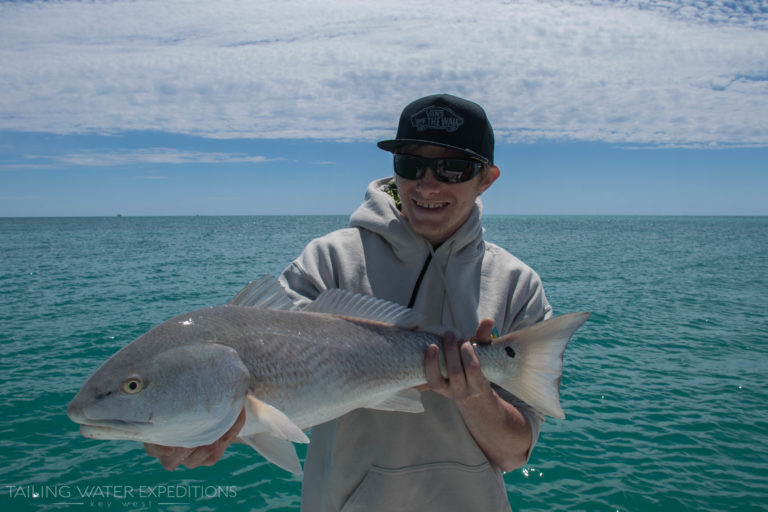 We don't get a ton of Redfish here in Key West but they are always a welcome sight.