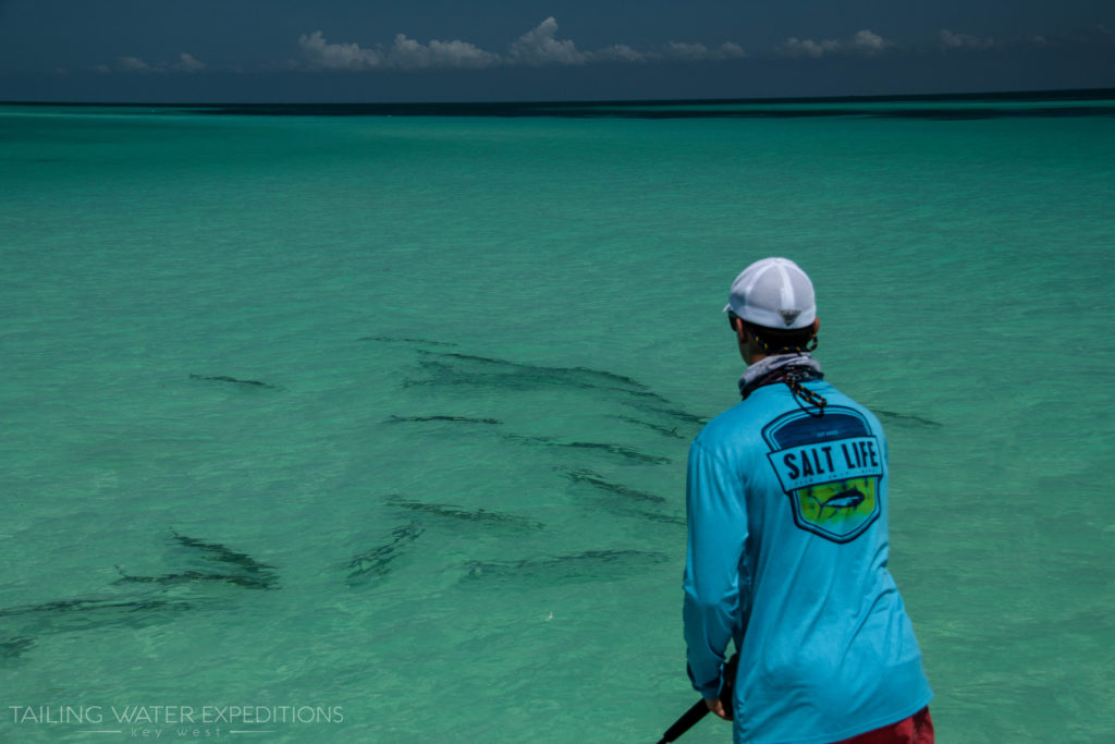 Sight fishing for the silver king here in Key West is a blast!