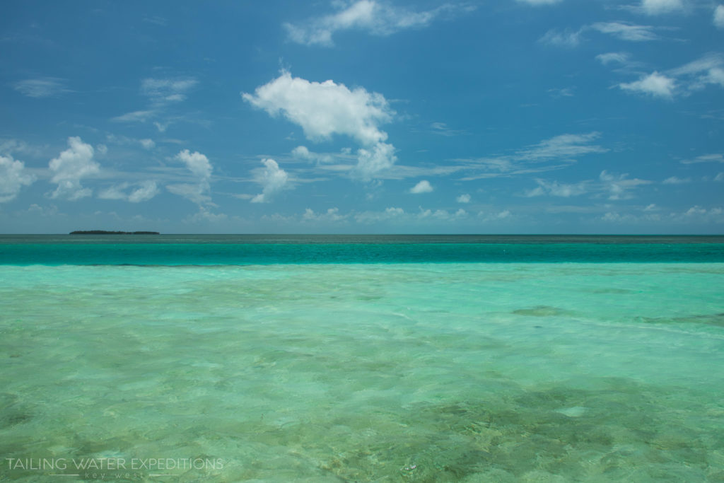 Fishing the Flats and Backcountry off of Key West is always an adventure!