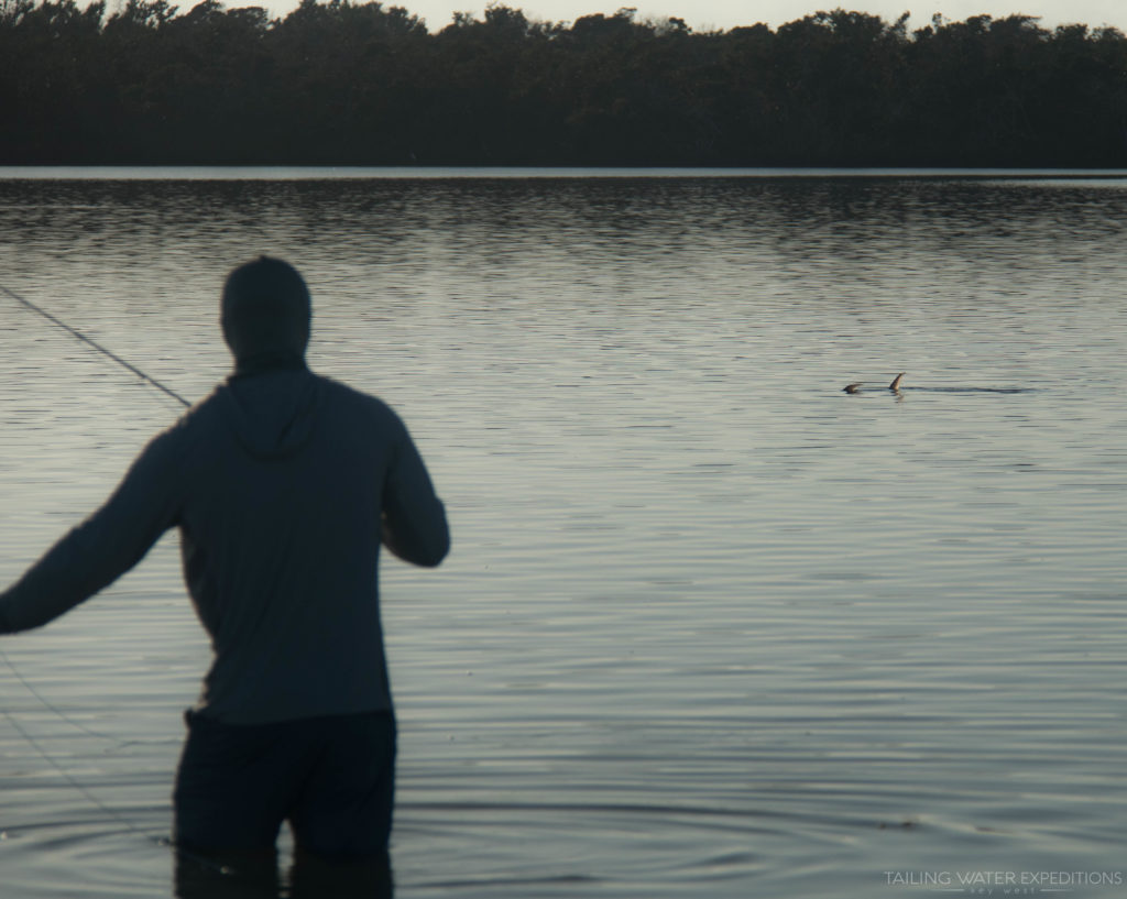 Fishing Guide Brandon Cyr wades out to a tailing permit