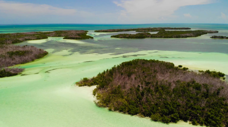 Backcountry Fishing out of Key West