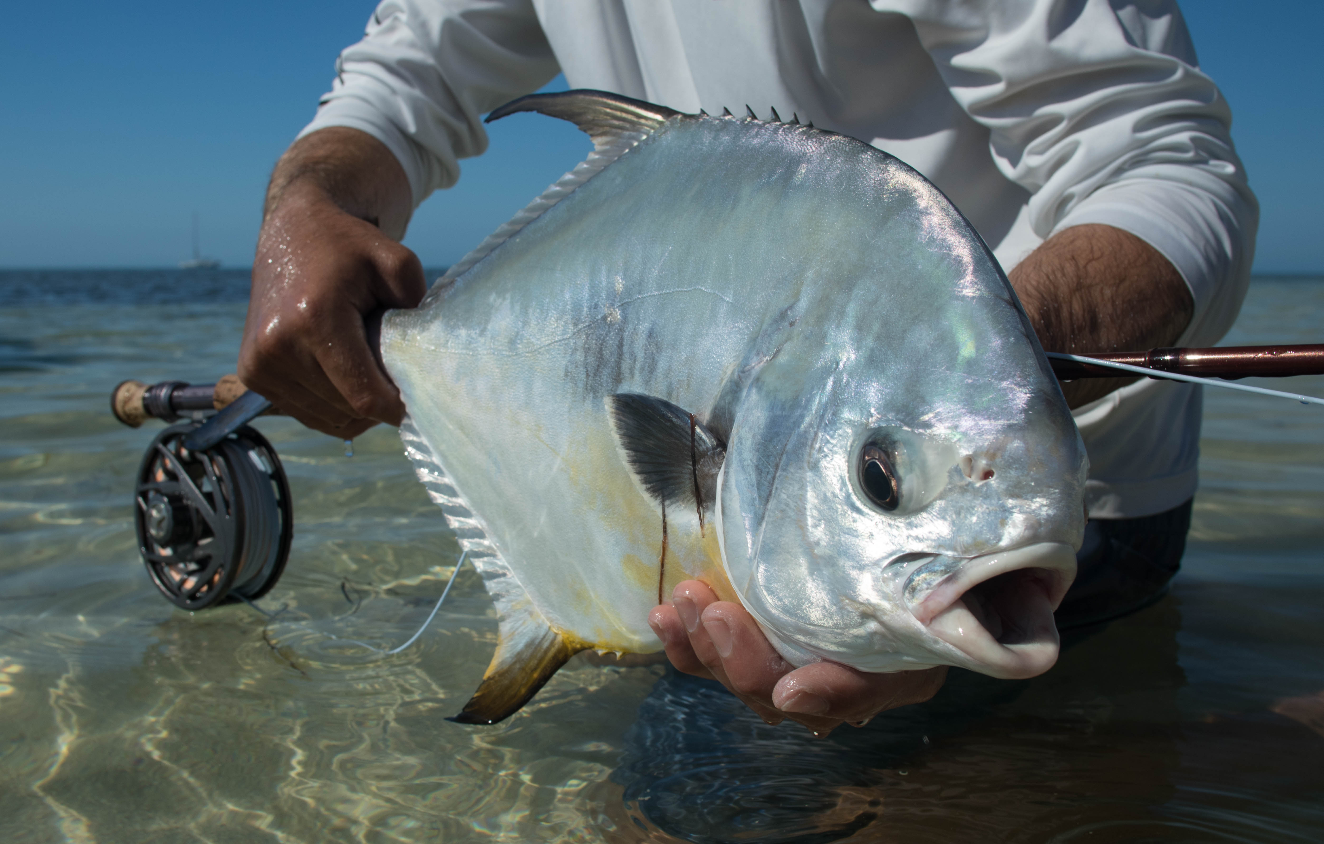 Capt. Nick LaBadie hold up a nice permit caught on fly