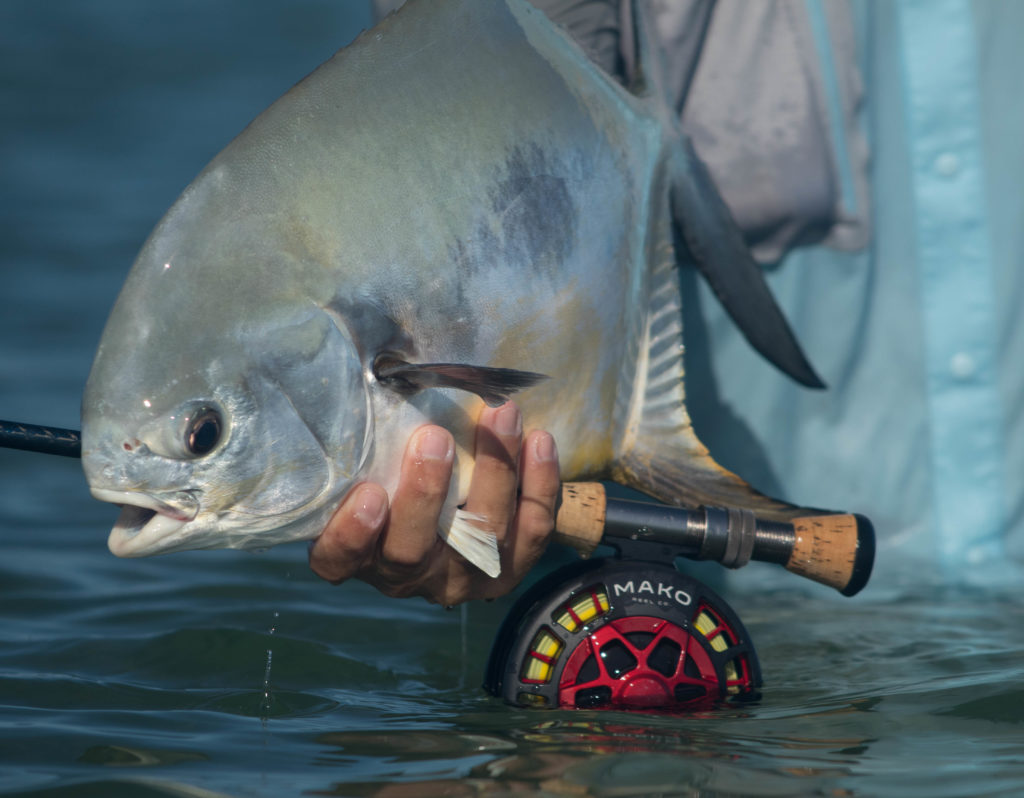 Permit Fishing Florida Merch & Gifts for Sale